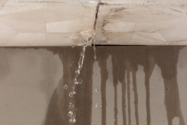 Professional Water Damage Repair technician working in Williamsburg, MI